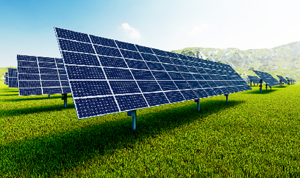 We Can Customize for Your Needs and Requests.